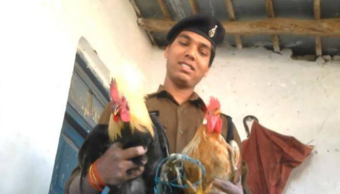 Bizzare: You won't believe why MP police 'arrested' two roosters