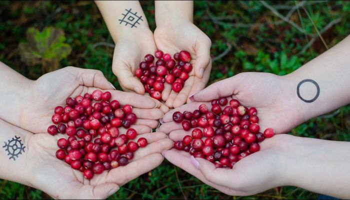 Slow down the process of ageing, go on an antioxidant-rich diet