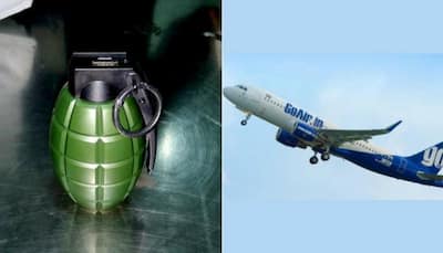 Power bank in shape of hand grenade lands passenger in trouble at Delhi airport