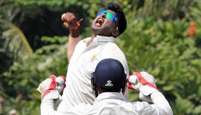 IPL Auction: Gowtham Krishnappa leads money-minting by uncapped spinners 