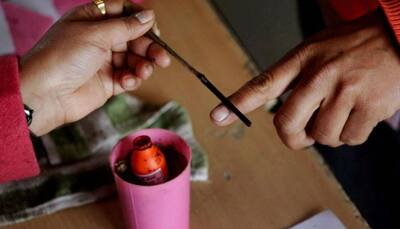 West Bengal bypolls: 76% votes cast in Uluberia, 75% in Noapara