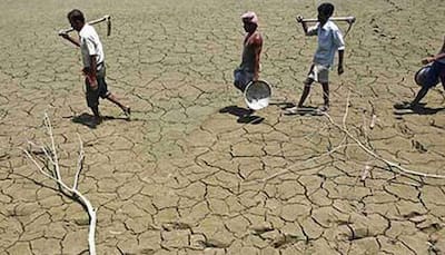 MP govt sends 30 farmers for international tours, Congress alleges foul play