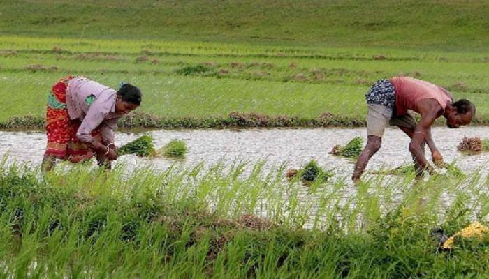 Union Budget 2018-19: What are the expectation for agriculture sector