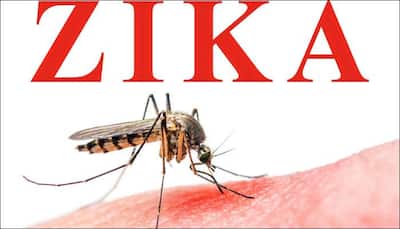 Relatives of Zika virus may cause birth defects