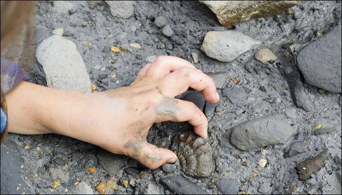 Scientists discover ancient fish species and they have a 10-year-old boy to thank
