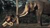 Junglee teaser: Vidyut Jammwal's act will leave you impressed—Watch