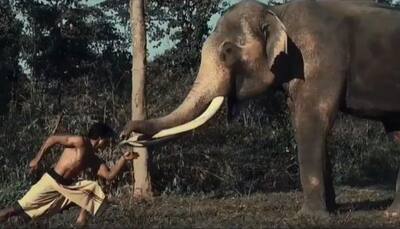 Junglee teaser: Vidyut Jammwal's act will leave you impressed—Watch