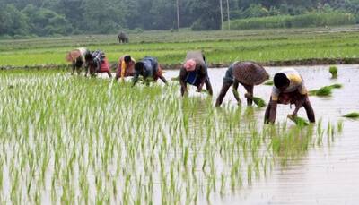 Higher MSP: Govt needs to balance farmer, consumer interest