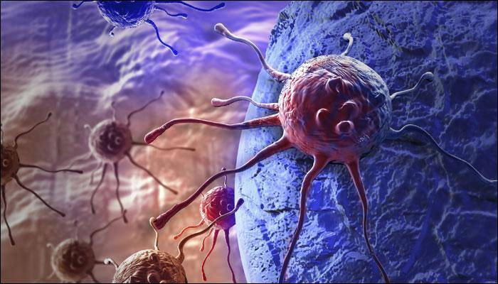 Cancer-fighting nanorobots can seek, destroy tumours