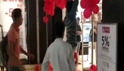 WATCH: Bajrang Dal members vandalise shop, create ruckus on Valentine's Day