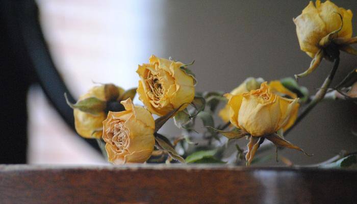Worst Valentine''s Day gifts revealed