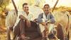 PadMan Box Office report