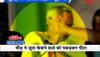 Bargarh district