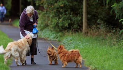 Walking the dog may help older adults live longer, suggests study