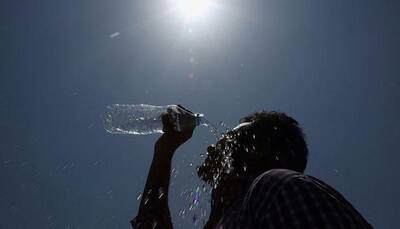 NDMA gears up to deal with heat wave, asks states to prepare 'action plan'