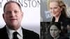 Harvey Weinstein apologises for citing Meryl Streep and Jennifer Lawrence in legal defence