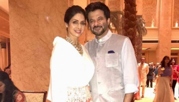 Sridevi's last dance with Anil Kapoor at Dubai wedding goes viral—Watch