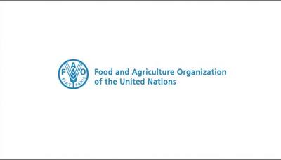 Italy's energy giant, FAO ink Nigeria water accord