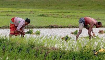 Opposition seeks debate on no aid disbursal to farmers for pest-hit crops