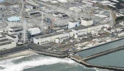 Fukushima radiation levels ''dangerously'' high: Greenpeace