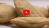 Holi recipe: Watch how to make Mawa Gujiya at home à la Chef Sanjeev Kapoor