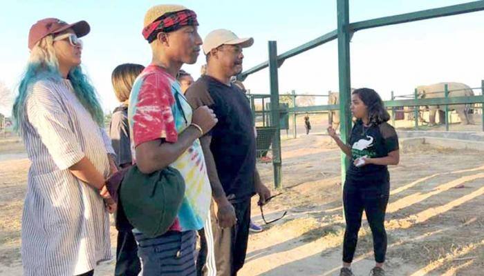 Pharrell Williams visits elephant care centre in India