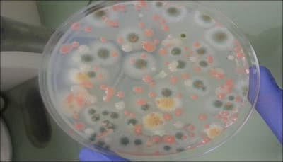 Ancient microbes produced oxygen earlier than thought