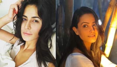 Anita Hassanandani looks like Katrina Kaif in this pic and we can't help but look twice!
