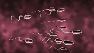 Experts say infertility treatment has left sperm science behind