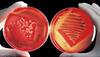 'Disease X' added to list of potential pandemic killers by WHO