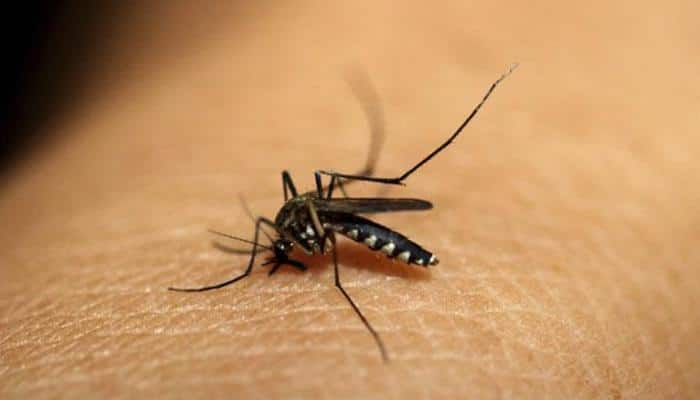 Dengue fever may increase risk of stroke: Study