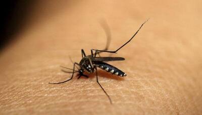 Dengue fever may increase risk of stroke: Study