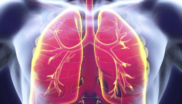 WHO member-countries commit to end TB by 2030