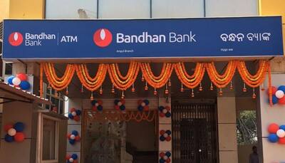 Bandhan Bank IPO subscribed 42% on opening day