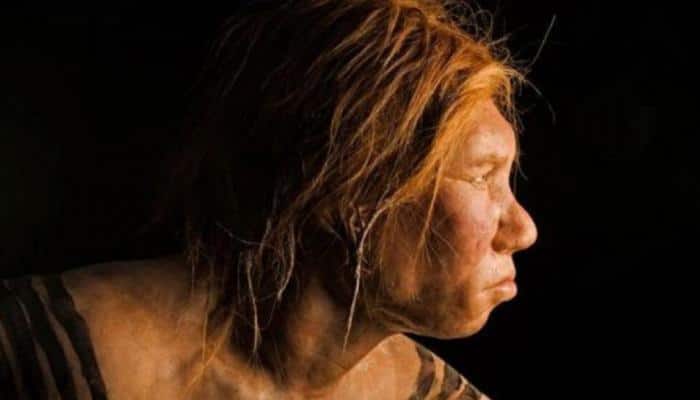 Humans mated with strange Denisovan species more than once: Study