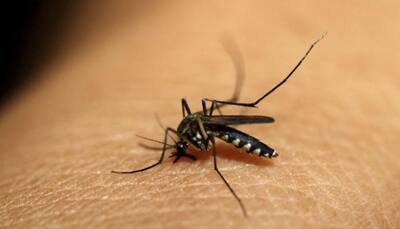 Scientists discover new human antibody that can prevent malaria infections