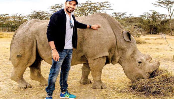 Rest in peace Sudan: Rohit Sharma mourns death of world&#039;s last male northern white rhino in Kenya