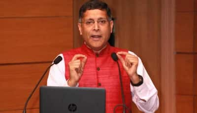 To avoid future frauds, need to rethink PSB's ownership: Arvind Subramanian 