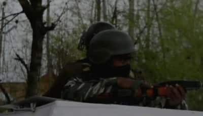 2 terrorists killed in encounter with security forces in J&K's Anantnag