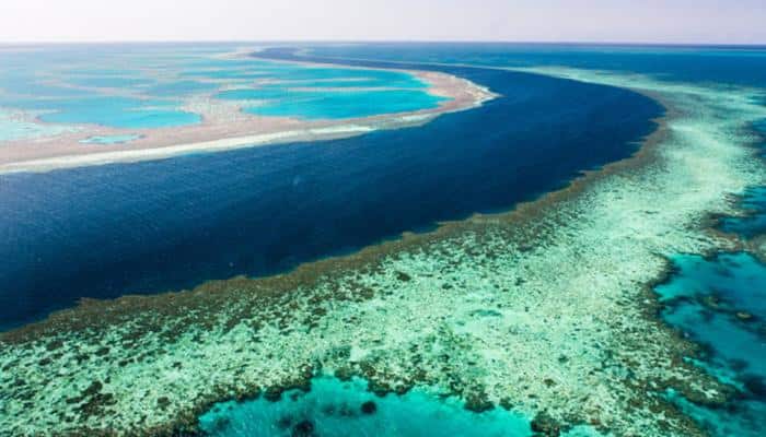 Scientists develop sun shield to prevent coral bleaching