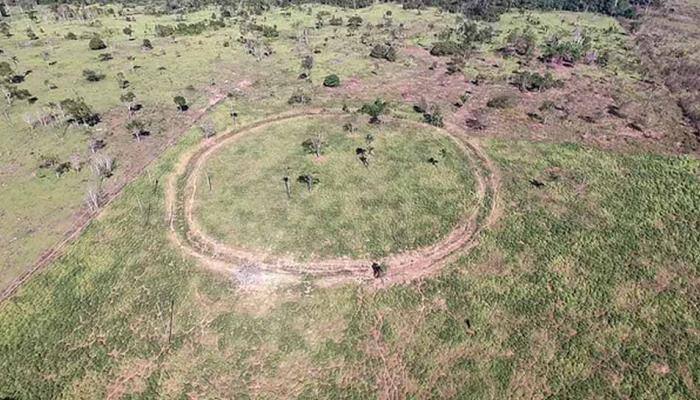 Lost villages uncovered in Brazil&#039;s super-dense Amazon jungles