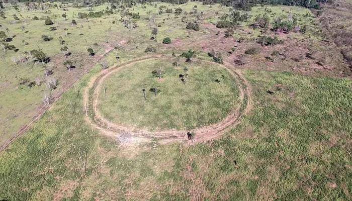 Lost villages uncovered in Brazil's super-dense Amazon jungles