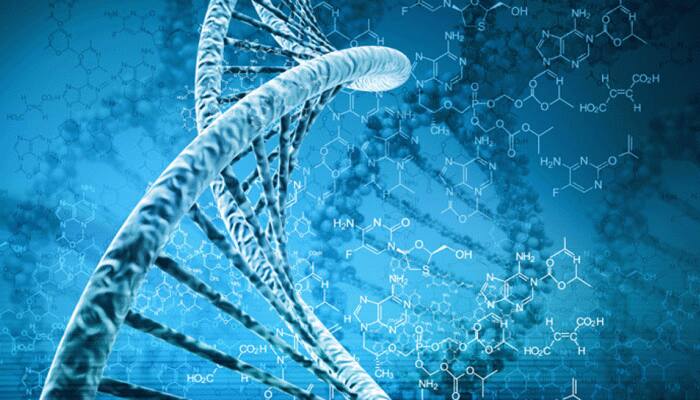 Gene therapy may boost stroke recovery