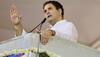 Dalit protests: BJP hits back at Rahul Gandhi over 'DNA' remark, accuses him of 'dividing Indians'