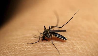 This new drug could make your blood kill mosquito