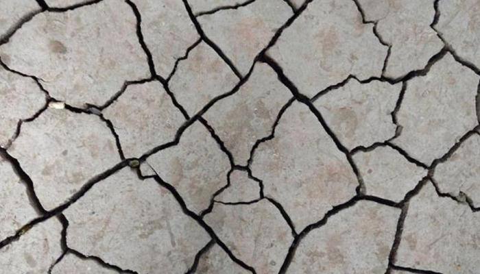 Are frequent tremors in Uttrakhand hills indicative of big quake? 'Yes', says top disaster official