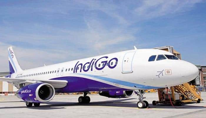 IndiGo flight was full of mosquitoes, crew didn&#039;t listen to me, they misbehaved: Passenger