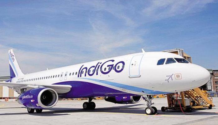 IndiGo flight was full of mosquitoes, crew didn't listen to me, they misbehaved: Passenger