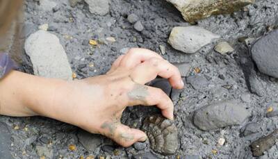 Fossil finger bone could challenge modern migration theory