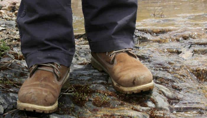 Biodegradable shoes made from mushrooms, chicken feathers